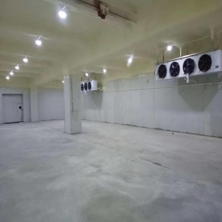 定制商用果蔬存儲冷庫