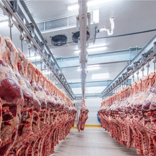 肉庫冷藏室