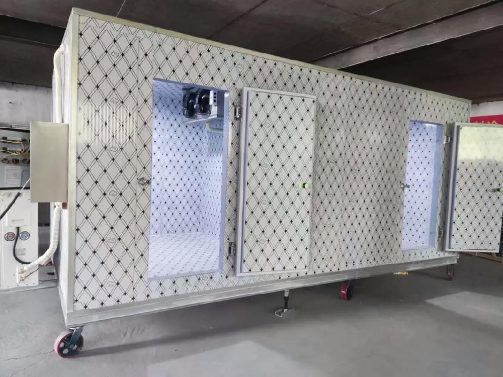 廣東先進製冷設備-活動小型冷庫：現代物流與存儲的靈活解決方案