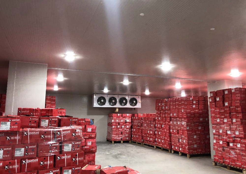 儲存蘋果的冷庫建造指南